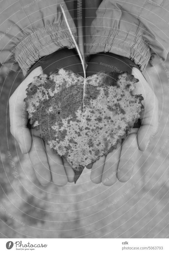 Herzensangelegenheit | großes Herbstblatt in Herzform in Kinderhänden. Ein Herz für… Herzblatt Herzsache Herzmensch im Herzen ruhen im Herzen verbunden sein