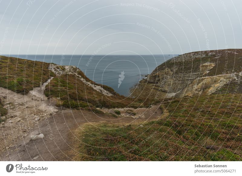 Wanderweg an der Küste bei Cap de la Chevre mit schöner Heidelandschaft, Crozon, Bretagne, Frankreich MEER Klippe Strand Landschaft reisen Wasser crozon
