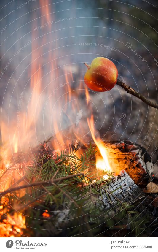 Bratapfel am Lagerfeuer Feuer Apfel heiß Feuerstelle Flamme brennen orange Glut Holz Wärme glühen gelb