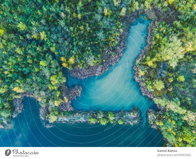 Luftaufnahme eines Waldsees. Luftaufnahme eines blauen Sees und grüner Wälder an einem sonnigen Sommertag. Drohnenfotografie. Wald- und Seerand, getöntes Bild von oben. Blick auf die Küste von der Drohne aus.