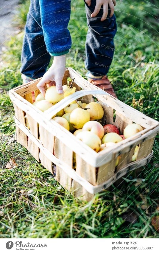 Urban Gardening Apfel Obst Biografie gmo frei Ackerbau biodynamisch Blütezeit züchten Zucht kontrollierte Landwirtschaft Bodenbearbeitung Lebensmittel Früchte