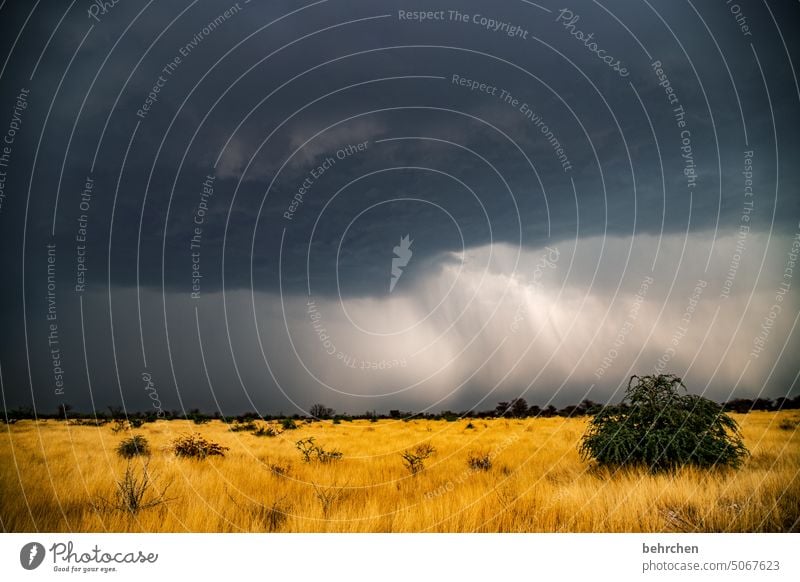 es wird regen geben etosha national park Etosha Etoscha-Pfanne Wolken Wildnis außergewöhnlich fantastisch Namibia Afrika weite Ferne Fernweh reisen