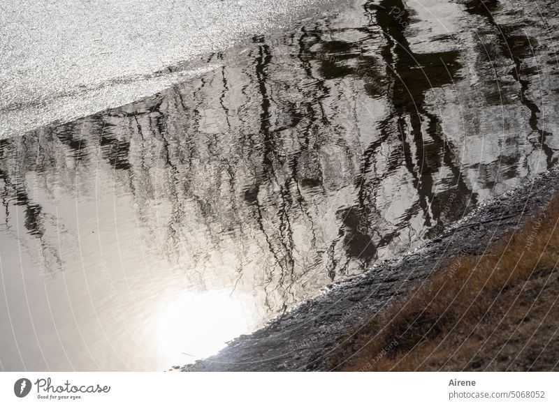 Wassermann Wasseroberfläche Wasserspiegelung geheimnisvoll Reflexion & Spiegelung Fantasie Wassergeist Figur dunkel trüb grau Fanstasiegebilde auftauchen Formen