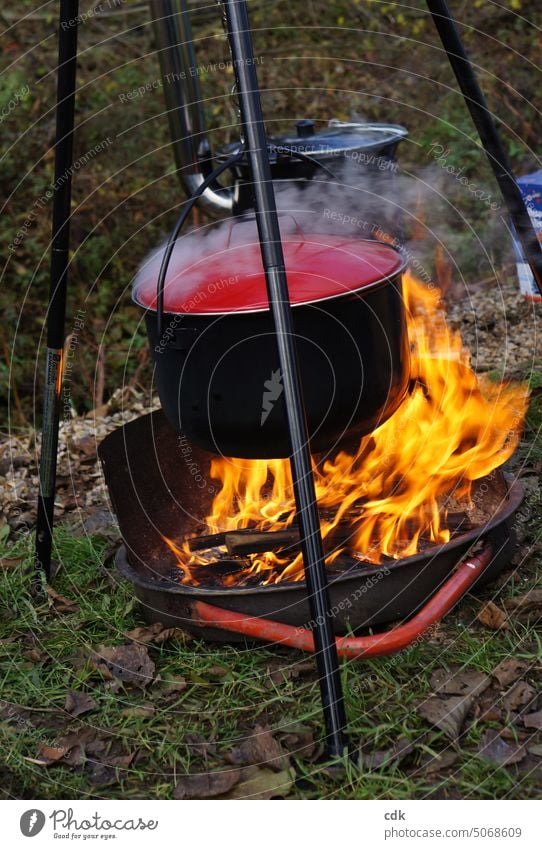 Ein großer Kochtopf hängt über offenem Feuer einer Feuerschale. lodern brennen Flammen Holzscheite draußen Wärme Hitze Lagerfeuer Feuerstelle heiß Glut