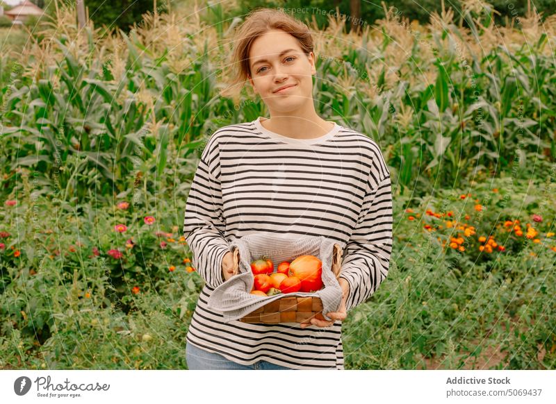 Zufriedener junger Landwirt, der die gesammelten reifen Tomaten in einem Weidenkorb vorführt zufrieden Glück zeigen Korb frisch Grün Dorf Gemüse Ernte Lächeln