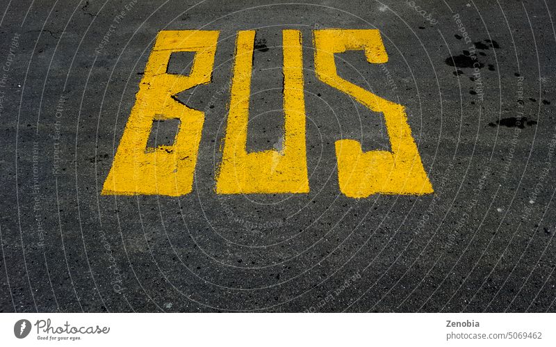 Das Wort BUS an der Bushaltestelle auf die Straße gesprüht stoppen Beschriftung Schablone öffentlicher Verkehr nz gelb fett graphisch Wörter groß Grunge schäbig