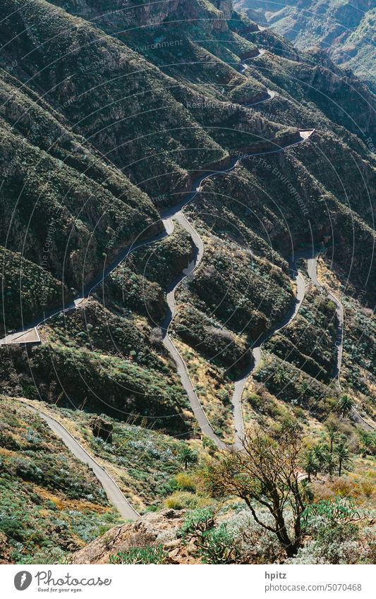 verschlungene Wege La Gomera Natur Schlucht Berglandschaft Bergstraße Straße im Gebirge