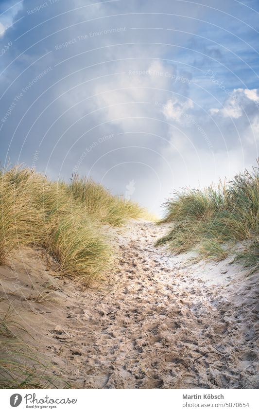 Strandüberquerung in Dänemark am Meer. Dünen, Sand, Wasser und Wolken an der Küste MEER Himmel Horizont Strandübergang Romantik Panorama Auszeit reisen Natur