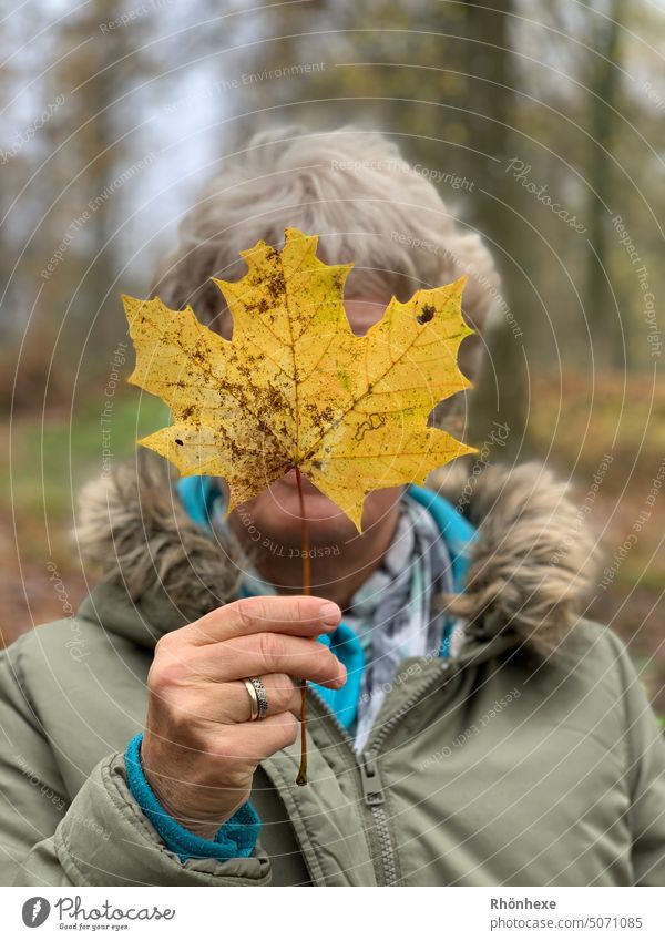 Herbstblatt verdeckt das Gesicht Herbstlaub herbstlich Blatt Außenaufnahme Farbfoto Natur Jahreszeiten Menschen im Freien heiter Person emotional Naturliebe