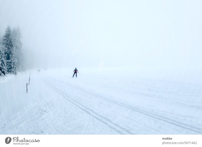 Zum Glück ist gespurt Winter Schnee kalt Mann allein Langlauf Ski Wintersport Freizeit & Hobby Skifahren Sport Berge u. Gebirge Landschaft Winterurlaub Skipiste