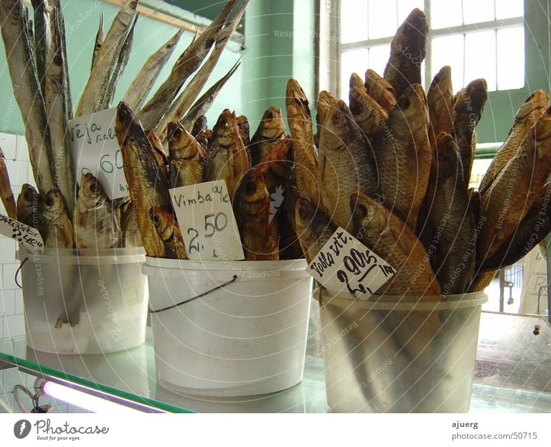 Stockfisch | Getrocknete Fische Kabeljau Trockenfisch Riga Lettland Markt lebesmittel
