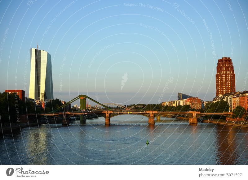 Blick von der Alten Brücke flussaufwärts auf die Ignatz-Bubis-Brücke und das Deutschherrnufer im Sommer im Licht der untergehenden Sonne in Frankfurt am Main in Hessen
