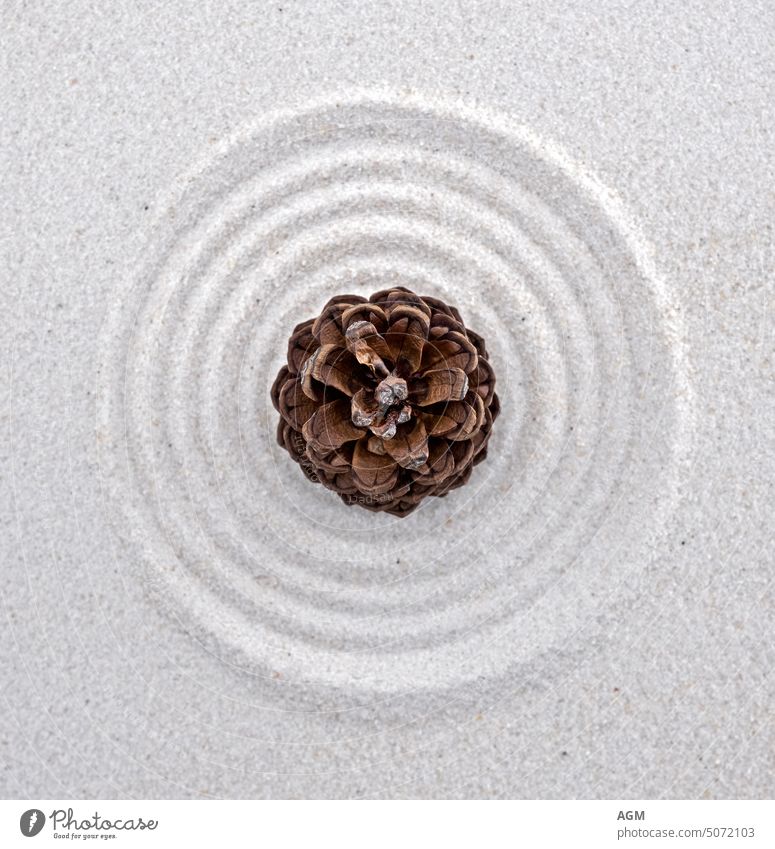Hintergrund mit Sand und Zapfen im Zen-Stil Gleichgewicht Schönheit in der Natur braun Buddhismus Windstille Kreise Konzentration Konzept Kegel nachdenken