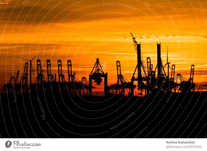 Hafenkräne im Hamburger Hafen bei Sonnenuntergang bei leicht bewölktem Himmel, horizontal Hafenkrane Kran Kräne Sonnenaufgang Wolken wolkig rot gelb schwarz