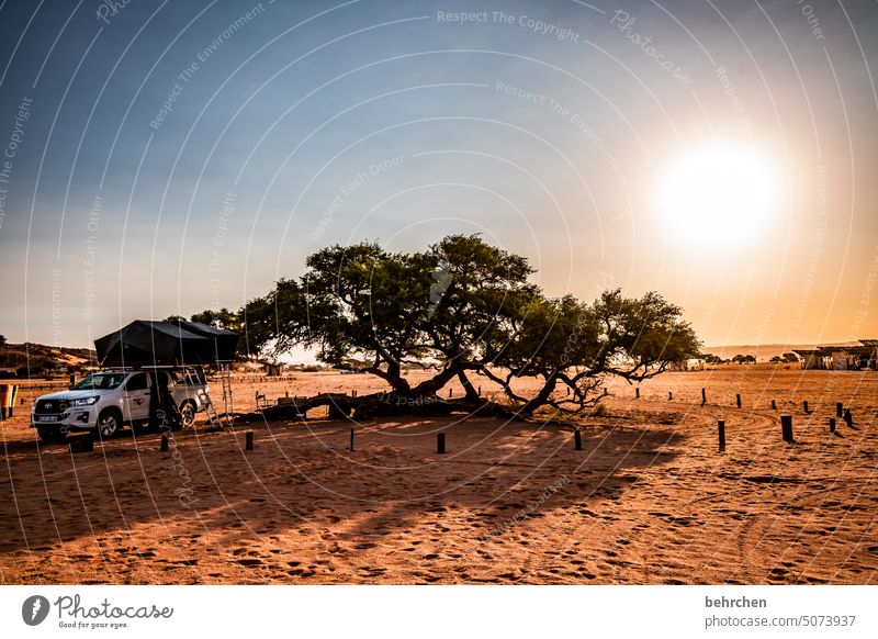 wenn es abend wird Sossusvlei Sesriem Camping Wildnis Campingplatz campen Zeltplatz dachzelt jeep Sonnenlicht Schatten Licht Fernweh reisen Ferne Namibia Afrika