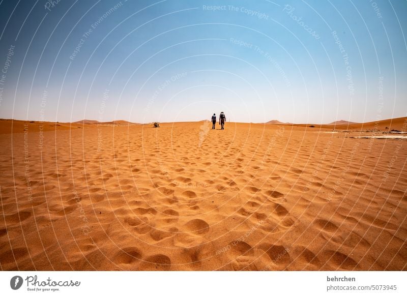 ein langer weg Sossusvlei Außenaufnahme Sesriem Sand Wüste Afrika Namibia Ferne Fernweh reisen Farbfoto Einsamkeit Natur Ferien & Urlaub & Reisen Landschaft
