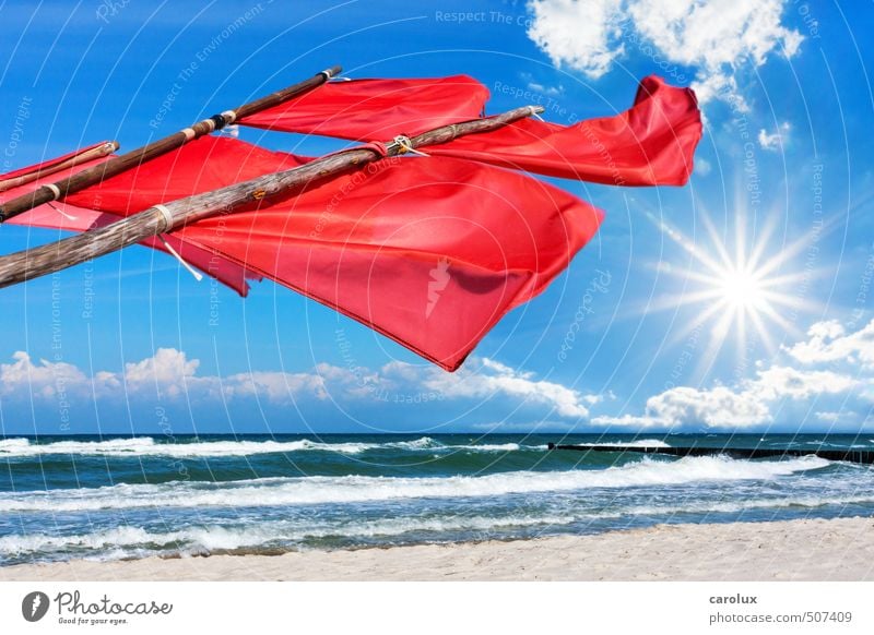 Rote Signalfahnen am Ostseestrand Sommer Strand Natur Wind Kreativität Optimismus Europa Deutschland maritim Nationalpark Küste Himmel Meer Sonne Sonnenstrahlen