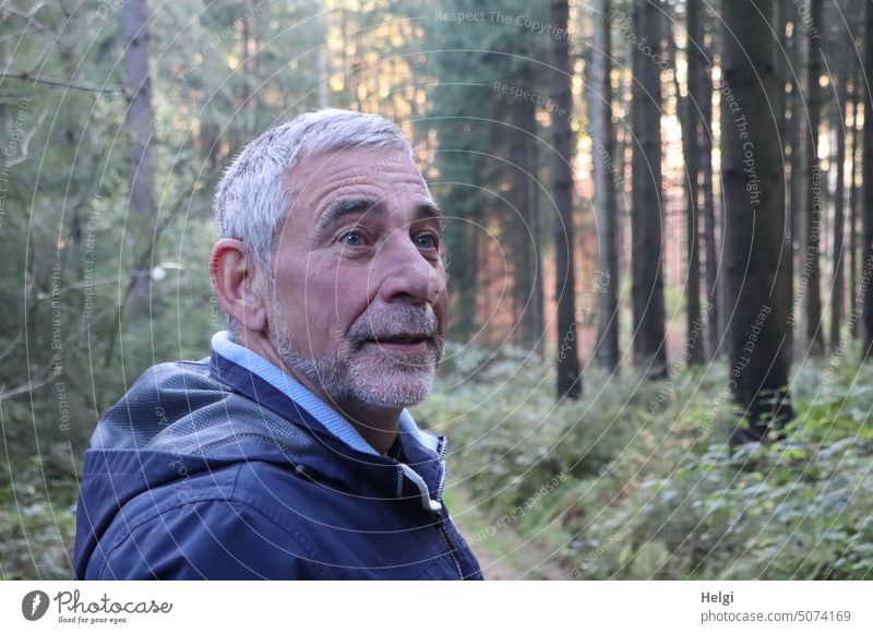 Porträt eines Senioren mit kurzen grauen Haaren und grauem Dreitagebart in der Natur Mensch Mann Wald draußen Herbst Blick Männlicher Senior Erwachsene