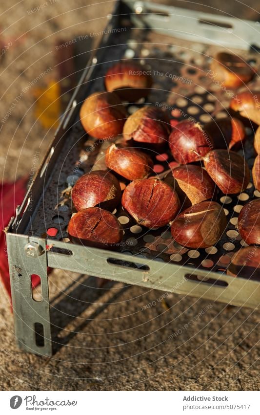 Leckere Kastanien auf einem Metalltablett Nut Blätter Herbst Tablett Wald Haufen Saison essbar geschmackvoll natürlich frisch Ernährung lecker organisch