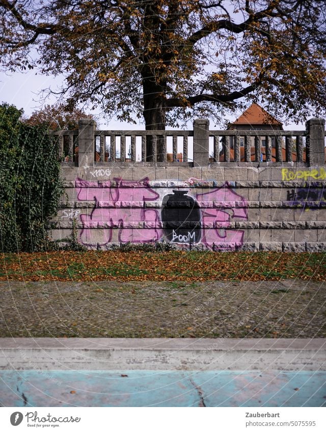 Graffiti in rosa mit Bombe auf der Mauer in einer Parkanlage, dahinter eine große Buche, als Symbol für Gegensatz und Auflehnung boom Baum Becken Vorstadt