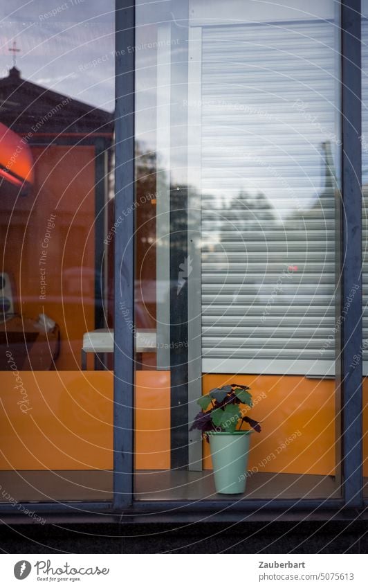 Leeres Schaufenster in orange, Blumentopf mit Grünpflanze, Jalousie und Spiegelung, Tristesse und vergeblicher Gestaltungswille Topf scheitern Rahmen