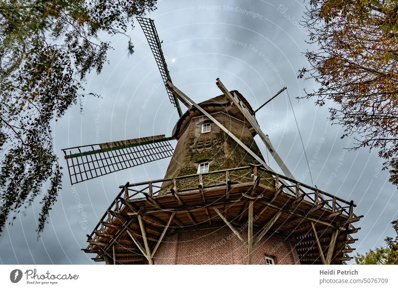 Das Wahrzeichen von Hinte, der obere Teil des dreistöckigen Galerie Holländers im morgendlichen bedeckten Himmel Mühle Windmühhle historisch alt Attraktion