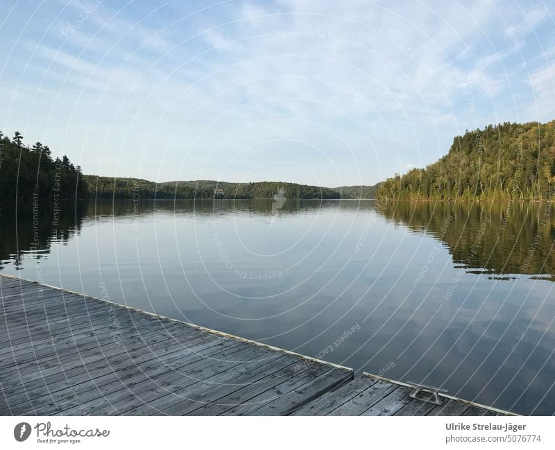 See mit Steg in Kanada Wasser Himmel Herbst Ruhe ruhig friedlich friedliche Stimmung herbstlich Seeufer Natur Menschenleer Wasserspiegelung Landschaft