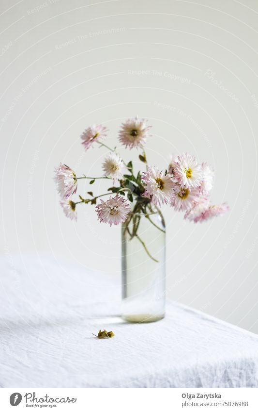 Blumenstrauß aus Chrysanthemen auf weißer Leinentischdecke. Stillleben Herbst Ästhetik Tischwäsche sehr wenige simlycity geblümt Zerbrechlichkeit Vase