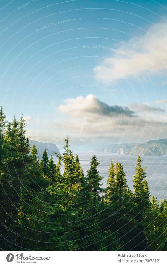 Malerische Aussicht auf See und Berge Baum Berghang Berge u. Gebirge Wald Natur Landschaft wolkig Himmel Umwelt Kanada Wetter Wasser Saison malerisch