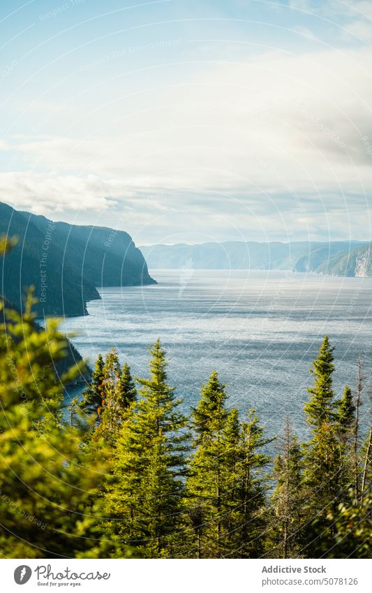 Malerische Aussicht auf See und Berge Baum Berghang Berge u. Gebirge Wald Natur Landschaft wolkig Himmel Umwelt Kanada Wetter Wasser Saison malerisch