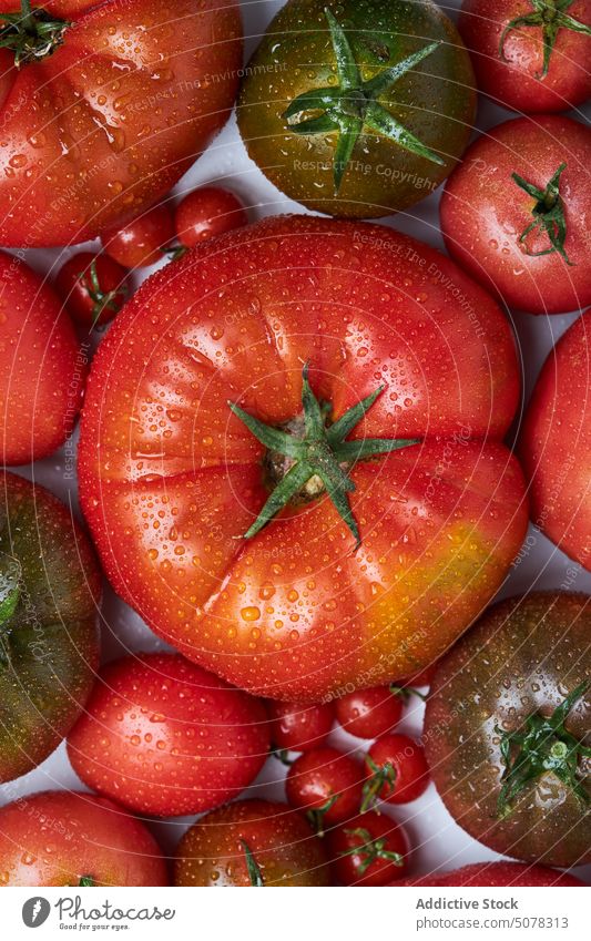 Reife Tomaten auf einem Zweig mit Blättern reif Ast frisch Gemüse Blatt Tropfen Lebensmittel Natur organisch Vegetarier Vitamin nass grün roh lecker natürlich