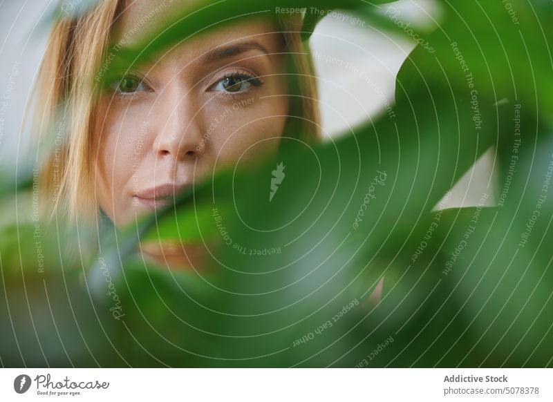 Frau schaut durch eine Grünpflanze in die Kamera Porträt braunes Auge Pflanze Blatt Windstille Harmonie heimisch Flora Dame jung heimwärts haselnussbraun