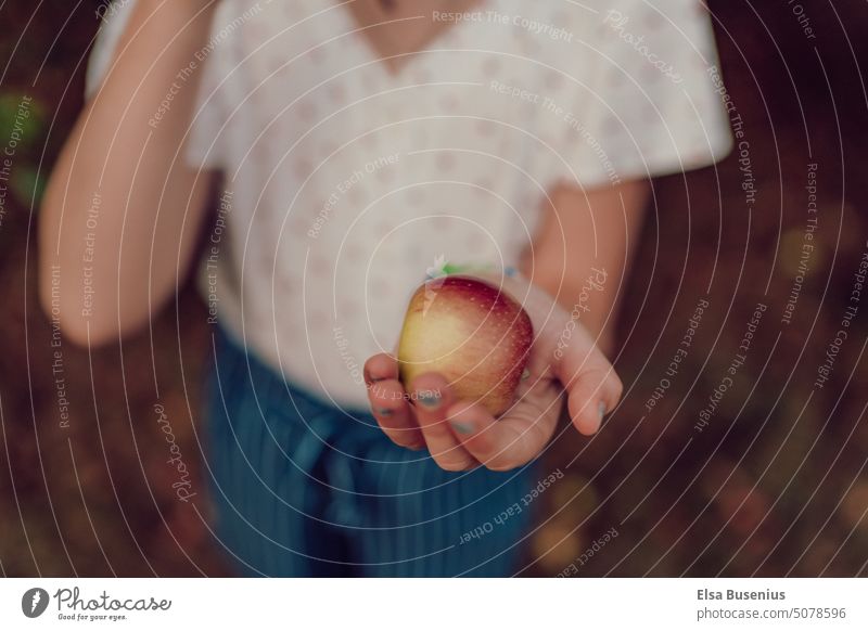 Apfel in der Hand hand Frucht Außenaufnahme Lebensmittel rot Gesundheit frisch Ernte Herbst saftig lecker Natur Ernährung reif Garten Gesunde Ernährung