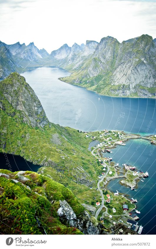Reinefjord, Lofoten Zufriedenheit Sinnesorgane Ferien & Urlaub & Reisen Tourismus Ausflug Abenteuer Ferne Freiheit Natur Landschaft Berge u. Gebirge Fjord
