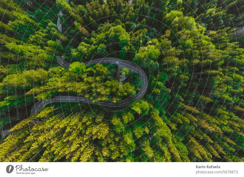Straßenschleife aus der Luft Wald grün Luftaufnahme Drohnenansicht Landschaft Natur Umwelt Baum Menschenleer Außenaufnahme oben Vogelperspektive