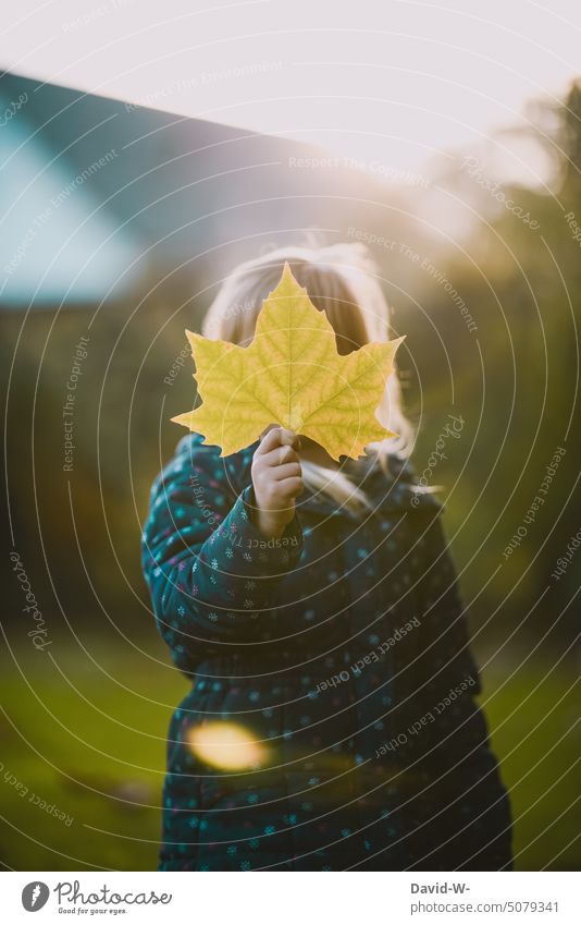 Mädchen versteckt sich im Herbst hinter einem bunten Blatt herbstlich niedlich Herbstfärbung Herbstbeginn Kind Sonnenlicht Muster Natur Hand halten verstecken