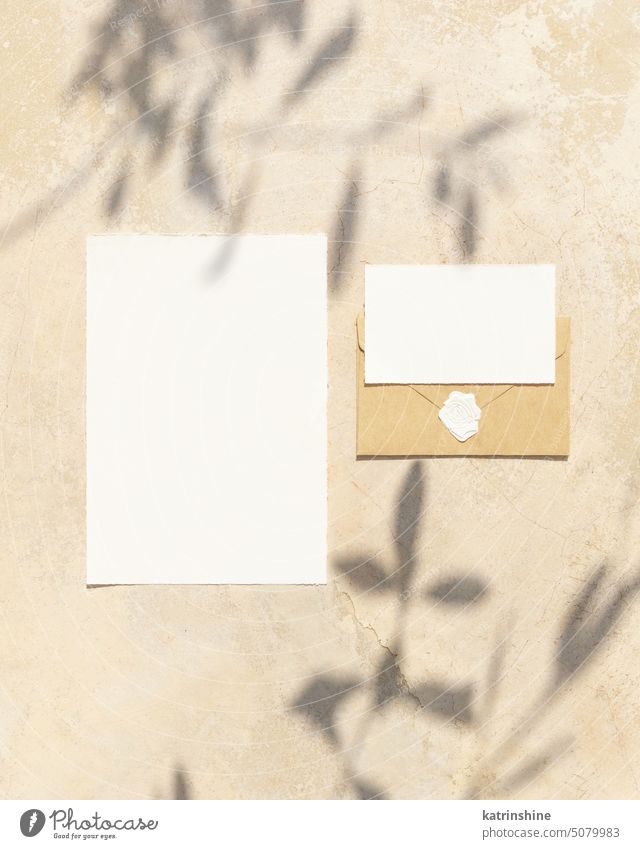 Blanko-Karten auf Beton-Tabelle mit Olivenbaum Zweige und harte Schatten, Hochzeit Mockup Attrappe Postkarte oliv mediterran hartes Licht Schlagschatten sonnig