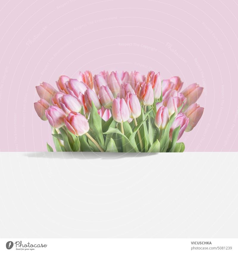 Frühling Hintergrund mit schönen Pastell rosa Tulpen Strauß lieblich Haufen Gruß Natur Postkarte modern Blumen
