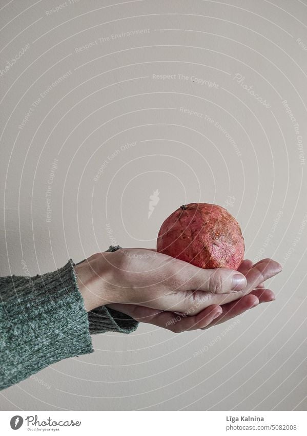 Hände einer Frau halten Grapefruit Mädchen Hand Herbstgefühle Arme Finger Frucht Handfläche Körperteil Lebensmittel Halt Beteiligung Haut sehr wenige Entwurf