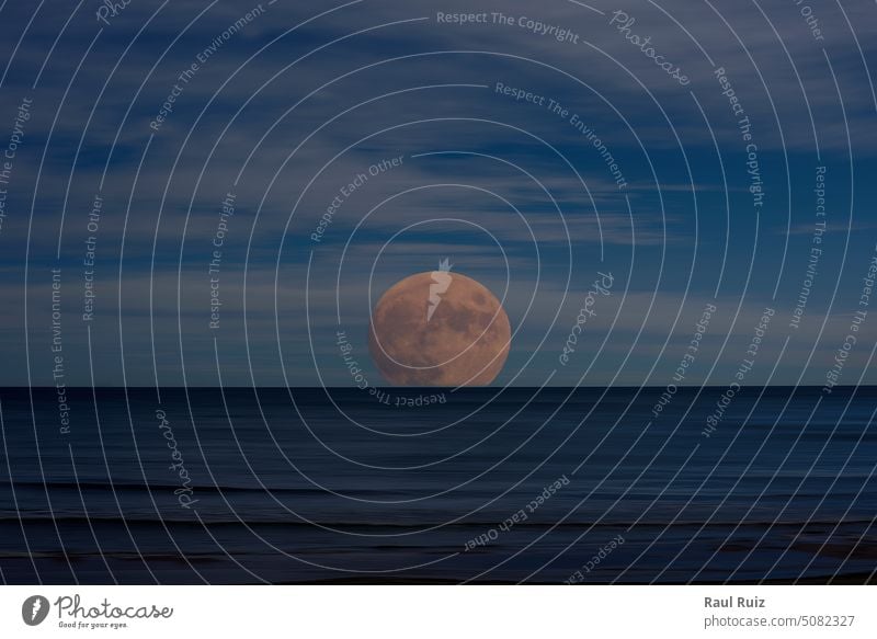 Foto des Mondes, der über dem Meer aufgeht Abenddämmerung Halloween Horizont Lotos Mitternacht Mondschein Handfläche Paradies Reflexion & Spiegelung romantisch