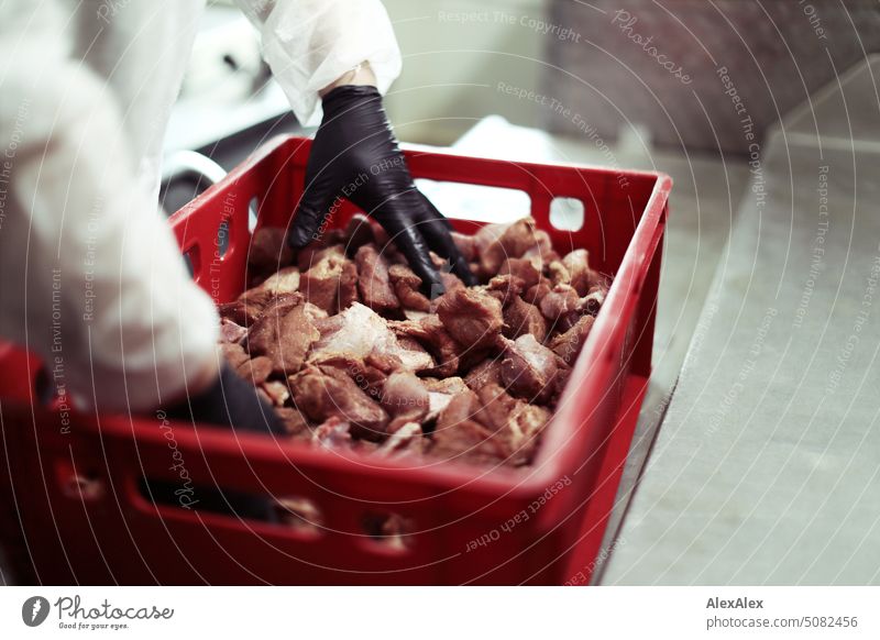 Schwarz behandschuhte Hände mischen Fleischstücke zum Wursten mit Gewürzen in roter Fleischkiste Handwerk Fleischer Fleischerei Herstellung Produktion