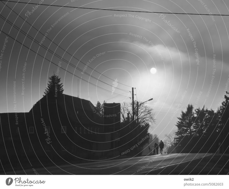 Heimkehrer Haus Silhouette Jugendliche Paar zwei dunkel Schatten Low Key Sonnenuntergang Nebel Nebelschwaden Bäume Straße Straßenrand Asphalt Kabel Stromkabel
