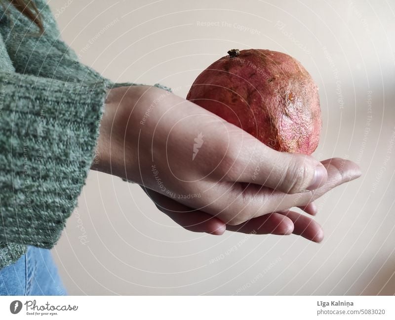 Hände einer Frau halten Grapefruit Frucht Lebensmittel orange Zitrusfrüchte Gesundheit frisch Bioprodukte Ernährung Vitamin Gesunde Ernährung lecker