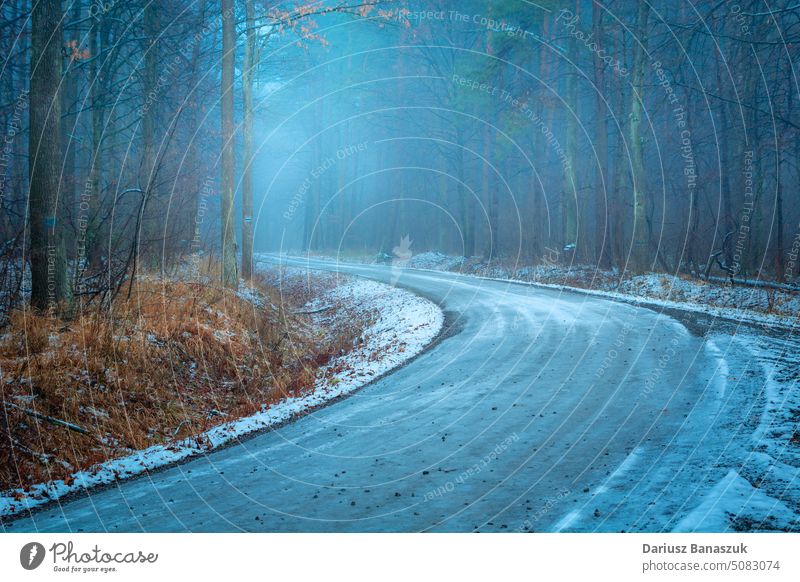 Eine Biegung in einem nebligen Winterwald Baum Natur Straße Wald Nebel Kurve Schnee im Freien Wegbiegung Umwelt Holz Frost horizontal keine Menschen Transport