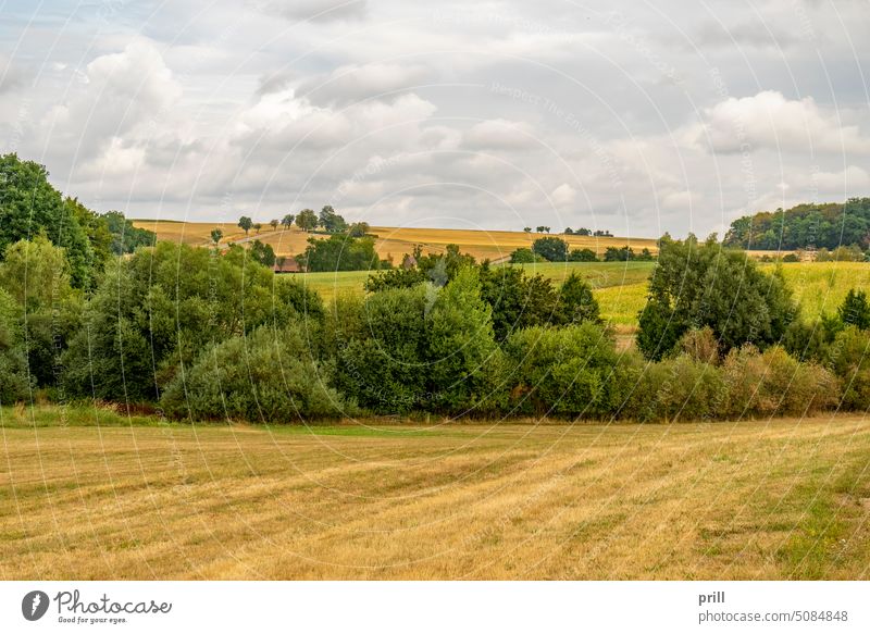 Bewölktes Ackerland Szenerie Ackerbau ländlich Feld Landwirtschaft kultivierend Sommer stürmisch getrübt bedeckt Wiese Schonung Hohenlohe Deutschland
