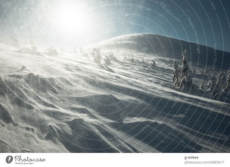 Winterlandschaft in den Bergen Winterurlaub wandern Schnee weiß blau Berge u. Gebirge Schönes Wetter Natur Landschaft Menschenleer Außenaufnahme Tag ruhig