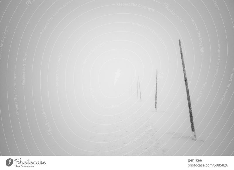 Winter Wanderweg im Nebel wandern Schnee wanderweg aussichtslos nebelig Schwarzweißfoto Menschenleer Außenaufnahme Natur kalt grau Landschaft ruhig Einsamkeit