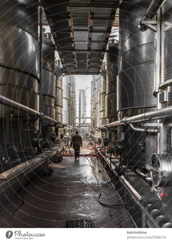 Ein Arbeiter, der in einer modernen Weinkellerei zwischen den Stahltanks für die Gärung des Weins geht Reihe Tanks Mann Spaziergang Fermentation Weingut groß