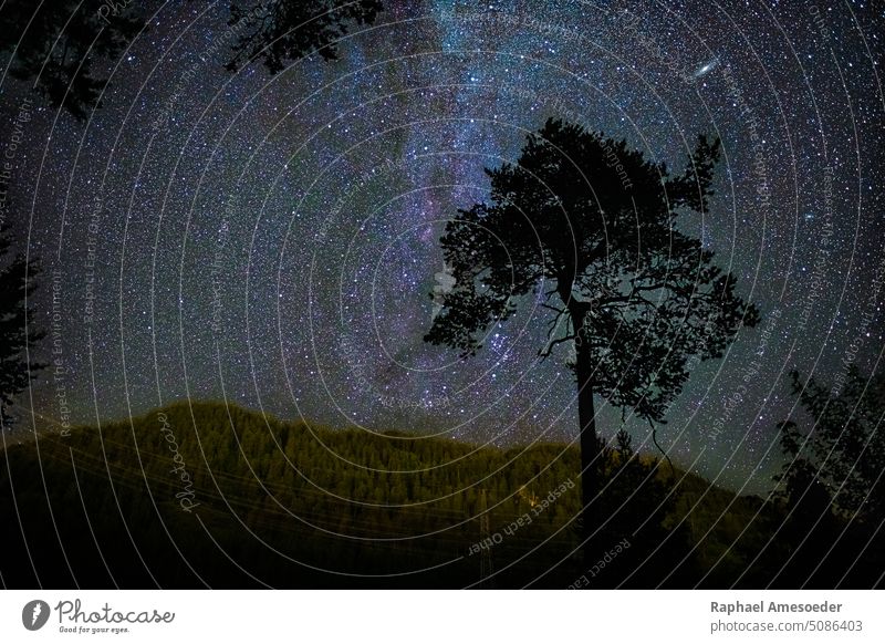 Nachthimmel zwischen Bäumen am Urisee mit Alpenbergen im Hintergrund Silhouette Baum Langzeitbelichtung Himmel Stern Raum Astro Österreich Astronomie schön blau