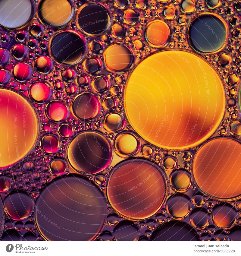 mehrfarbige Ölkreise auf dem Wasser kreisen Kreise Kreismuster Formen Kugel Tropfen Farbe Farben farbenfroh abstrakt texturiert Hintergrund Hintergründe Muster